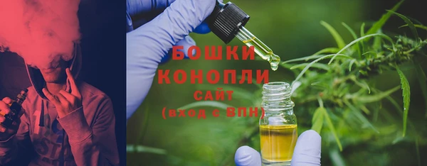 молекула духа Алексеевка