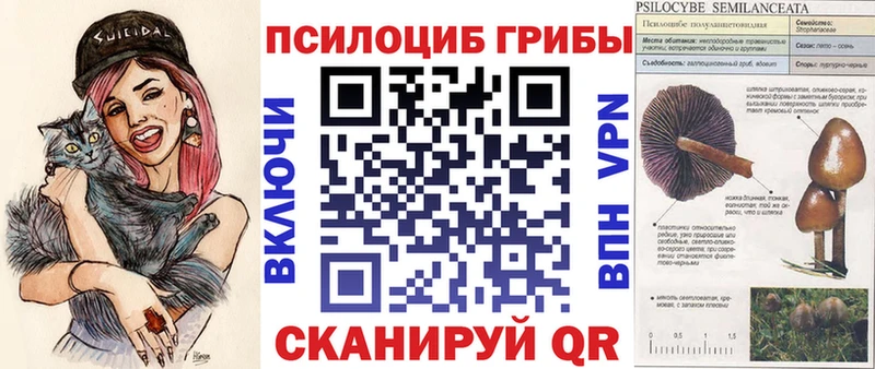 где продают наркотики Бежецк Псилоцибиновые грибы Psilocybine cubensis